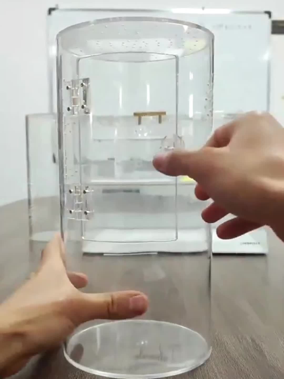 Acrylic Insect Habitat Cage 29.21x15.24x15.24cm - Transparent, Ventilated Terrarium for Spiders, Praying Mantises, Scorpions, Ants & Snails with Escape Door