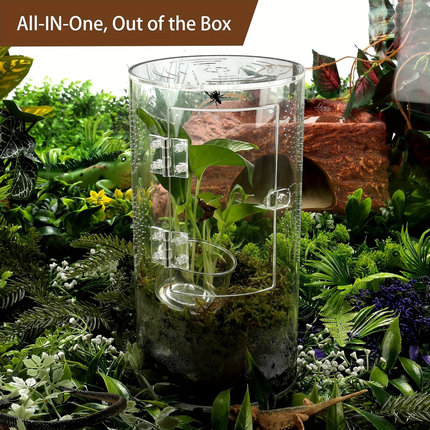 Acrylic Insect Habitat Cage 29.21x15.24x15.24cm - Transparent, Ventilated Terrarium for Spiders, Praying Mantises, Scorpions, Ants & Snails with Escape Door