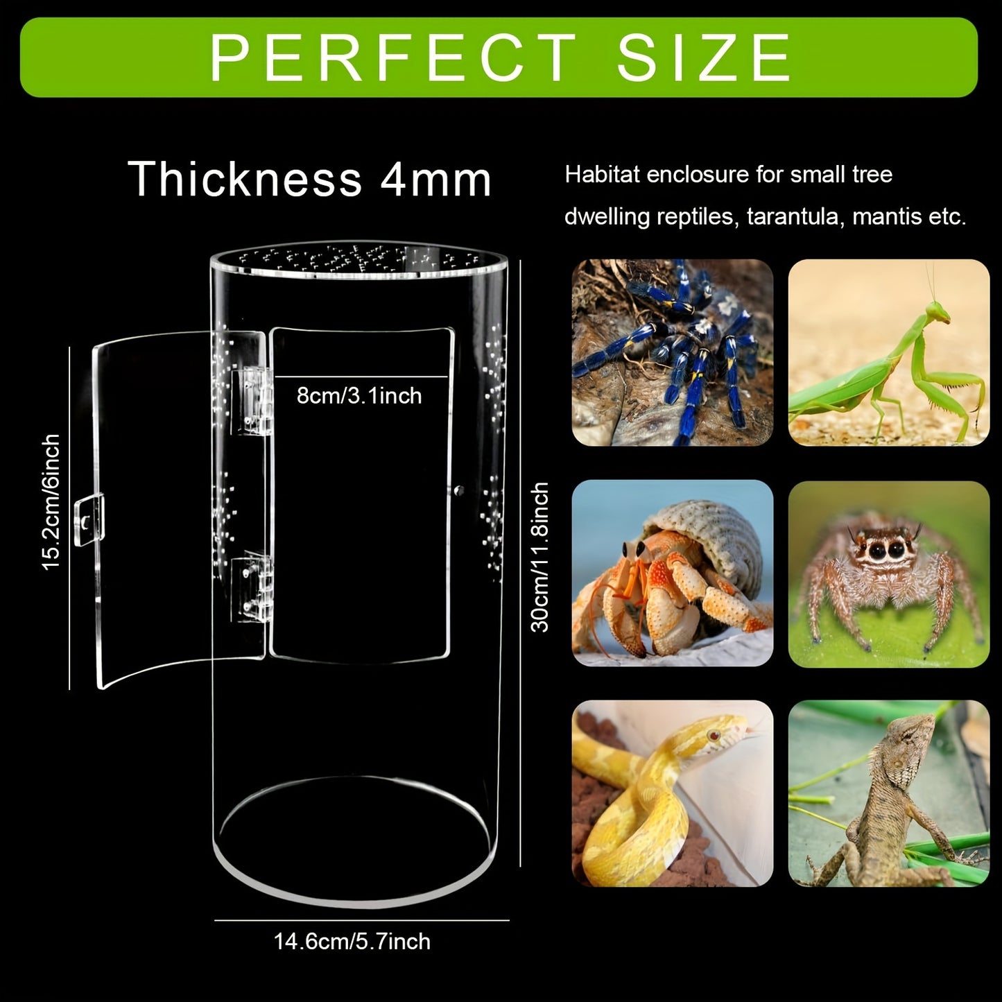 Acrylic Insect Habitat Cage 29.21x15.24x15.24cm - Transparent, Ventilated Terrarium for Spiders, Praying Mantises, Scorpions, Ants & Snails with Escape Door