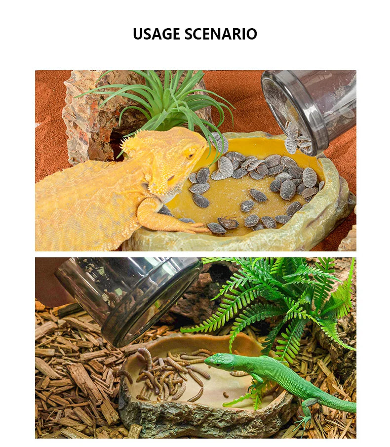 Cricket Convenient Feeding Boxes Transparent Climbing Pet Calcium Powder Mixing Box Portable Feeder for Lizards and Amphibians