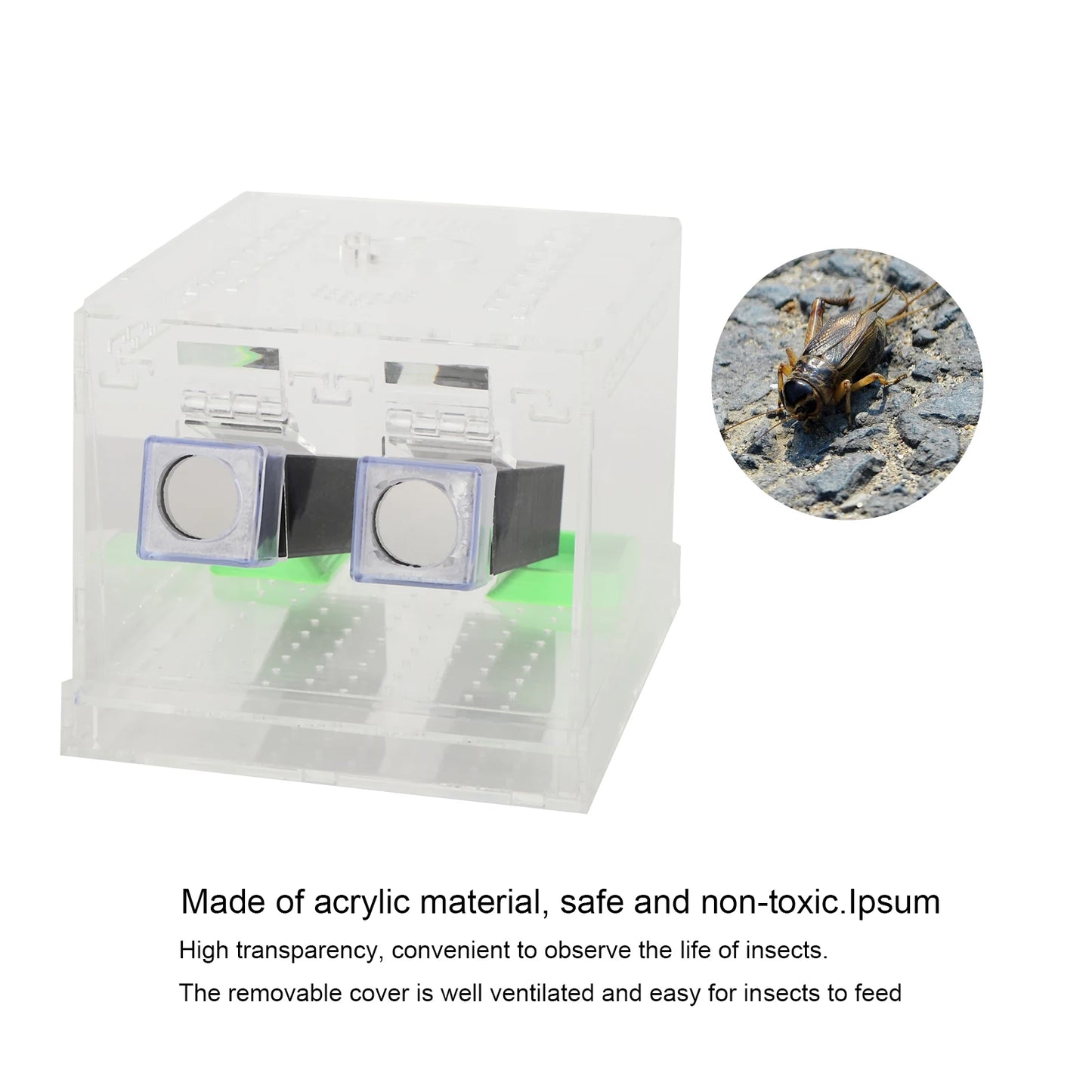 Acrylic Feeding Cricket Keeper Pen with Tubes Insect Cockroach Care Kit