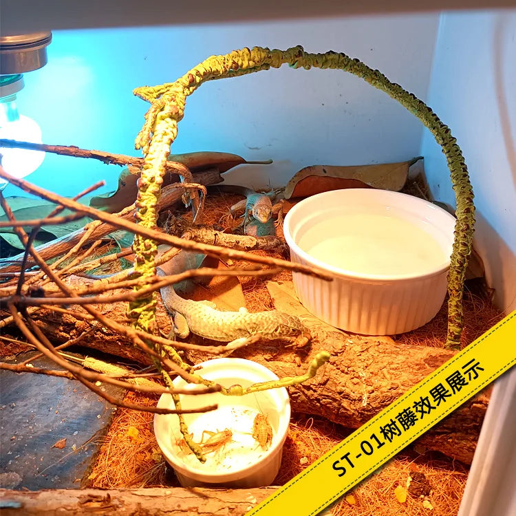 Reptile Landscaping Vine Fake Branches Rainforest