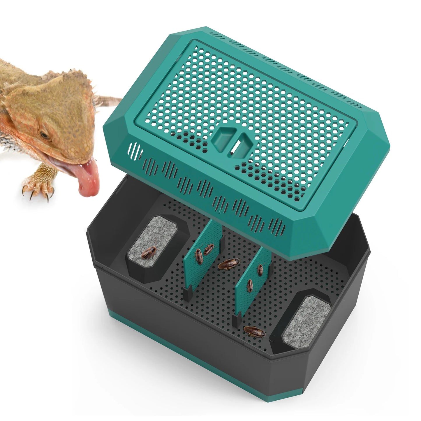 Live food storage box suitable for raising mealworms, crickets, Dubia cockroaches, Morio worms