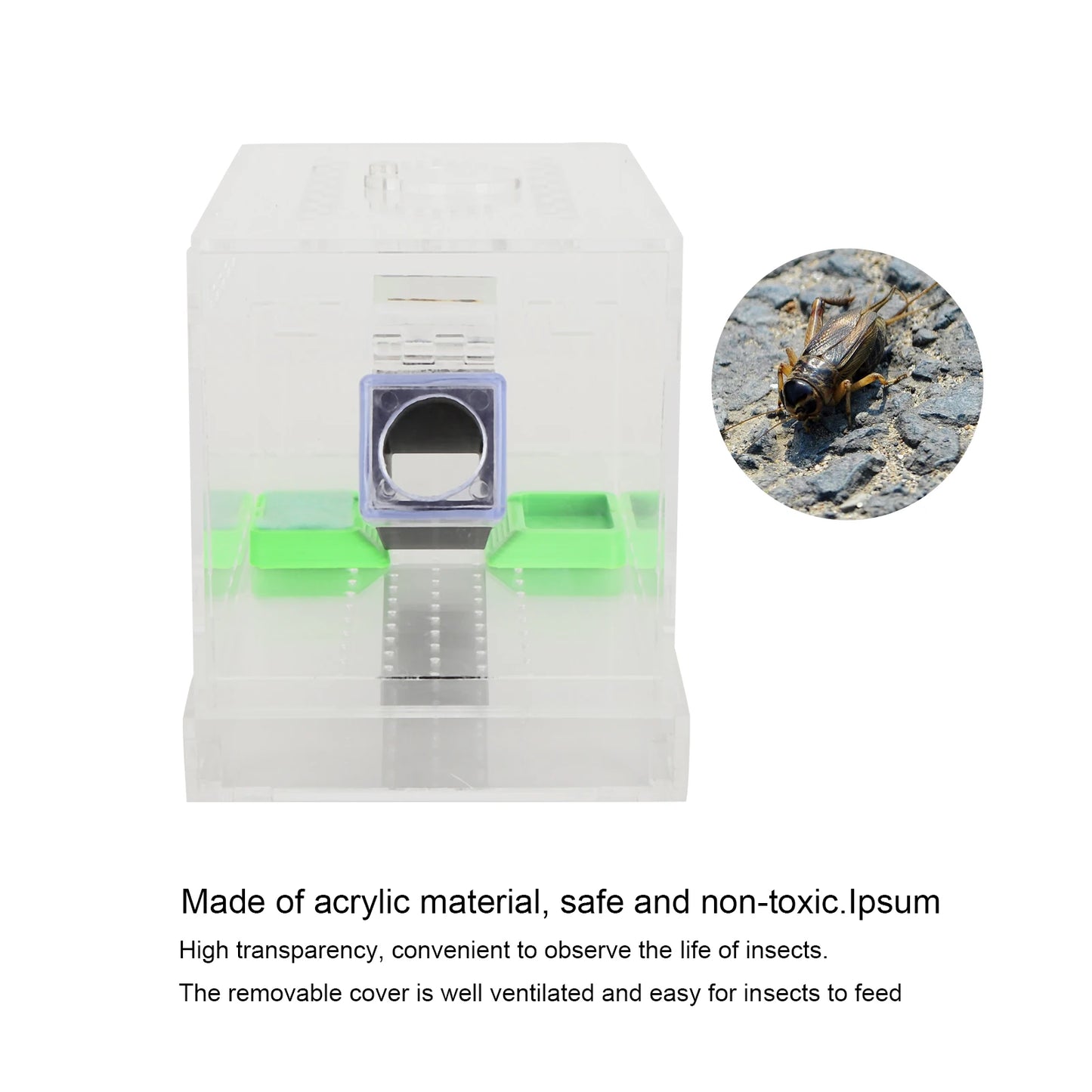 Acrylic Feeding Cricket Keeper Pen with Tubes Insect Cockroach Care Kit
