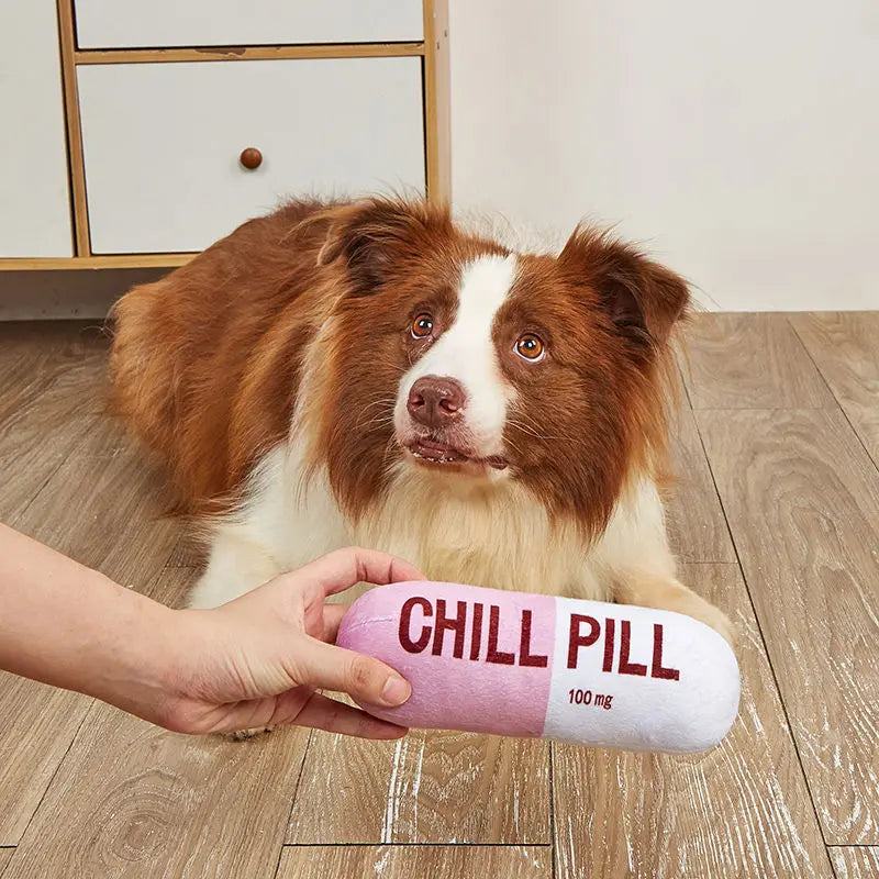 Vocal pet plush toy chill pill Capsule shape plush dog toy Vocal fabric bite Resistant
