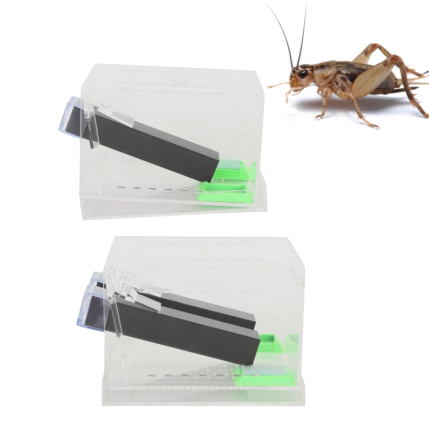 Acrylic Feeding Cricket Keeper Pen with Tubes Insect Cockroach Care Kit