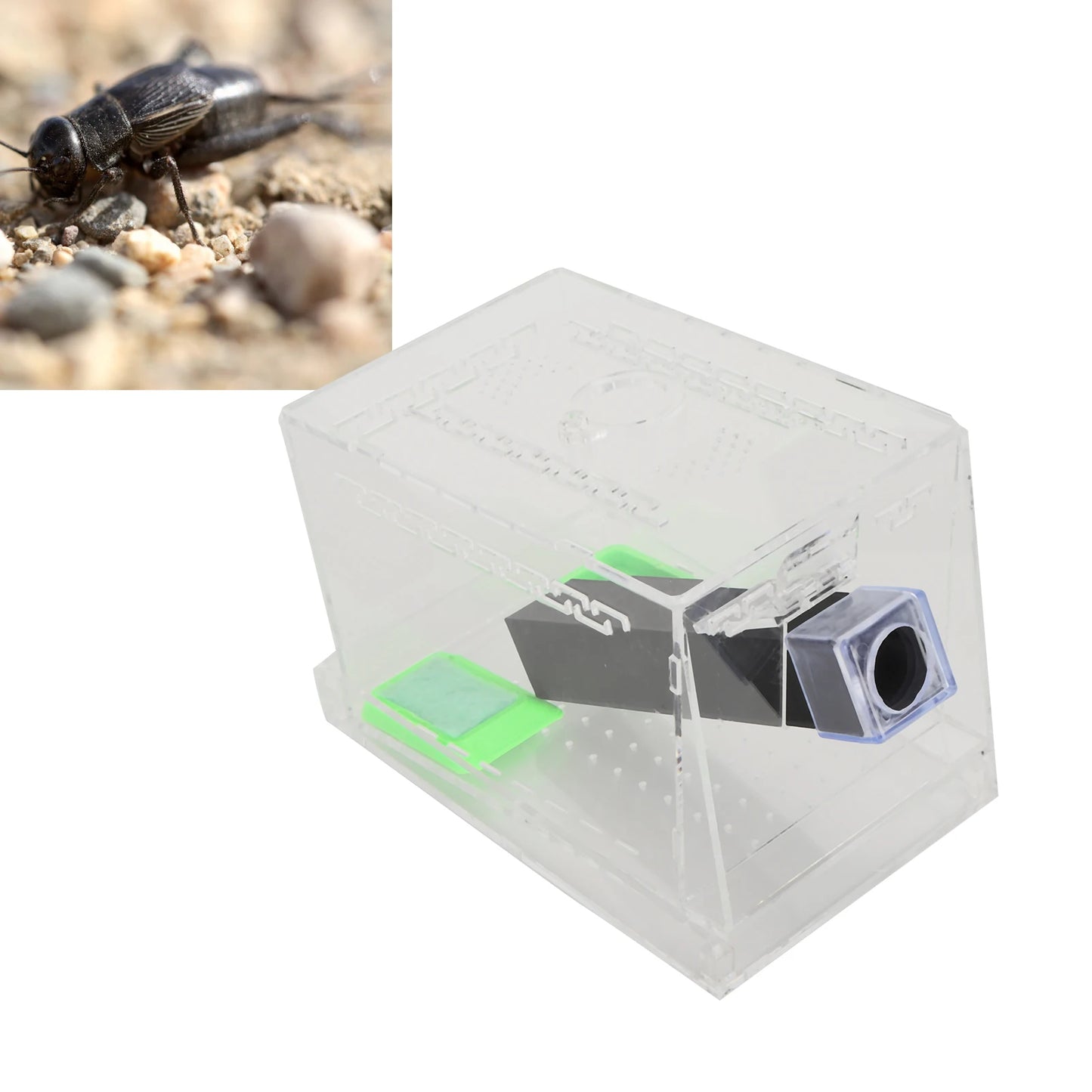 Acrylic Feeding Cricket Keeper Pen with Tubes Insect Cockroach Care Kit
