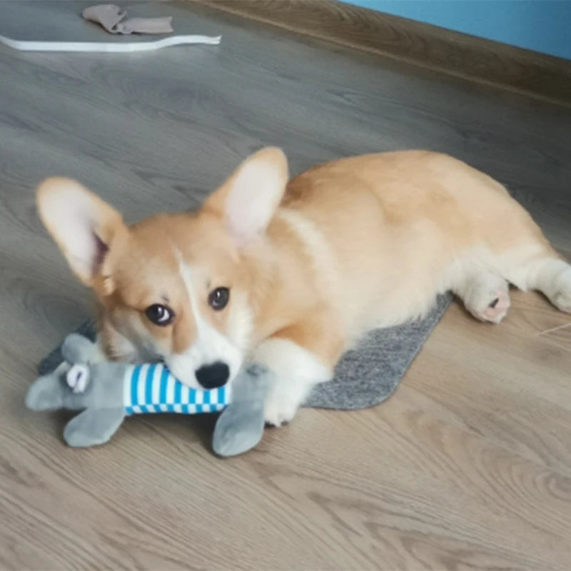 Animals Shape Plush Dog Toy Bite Resistant Squeaky Toys for Small Dogs Interactive Chew Molar Toy Sound Pet Accessories