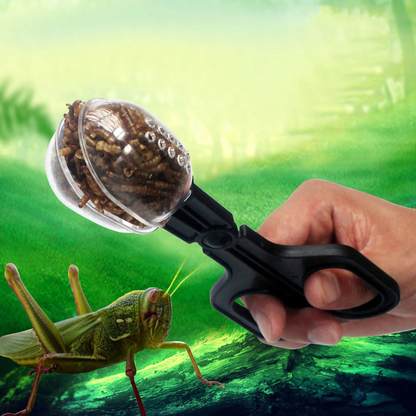 Reptile Terrarium Lizards Plastic Tongs Tweezers Pet Raising Feeding Tool Clip Children School Plant Insect Biology Study Tool