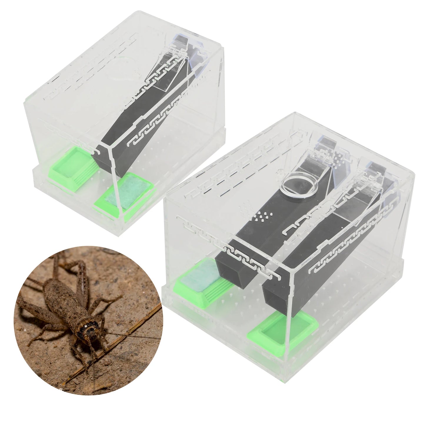 Acrylic Feeding Cricket Keeper Pen with Tubes Insect Cockroach Care Kit