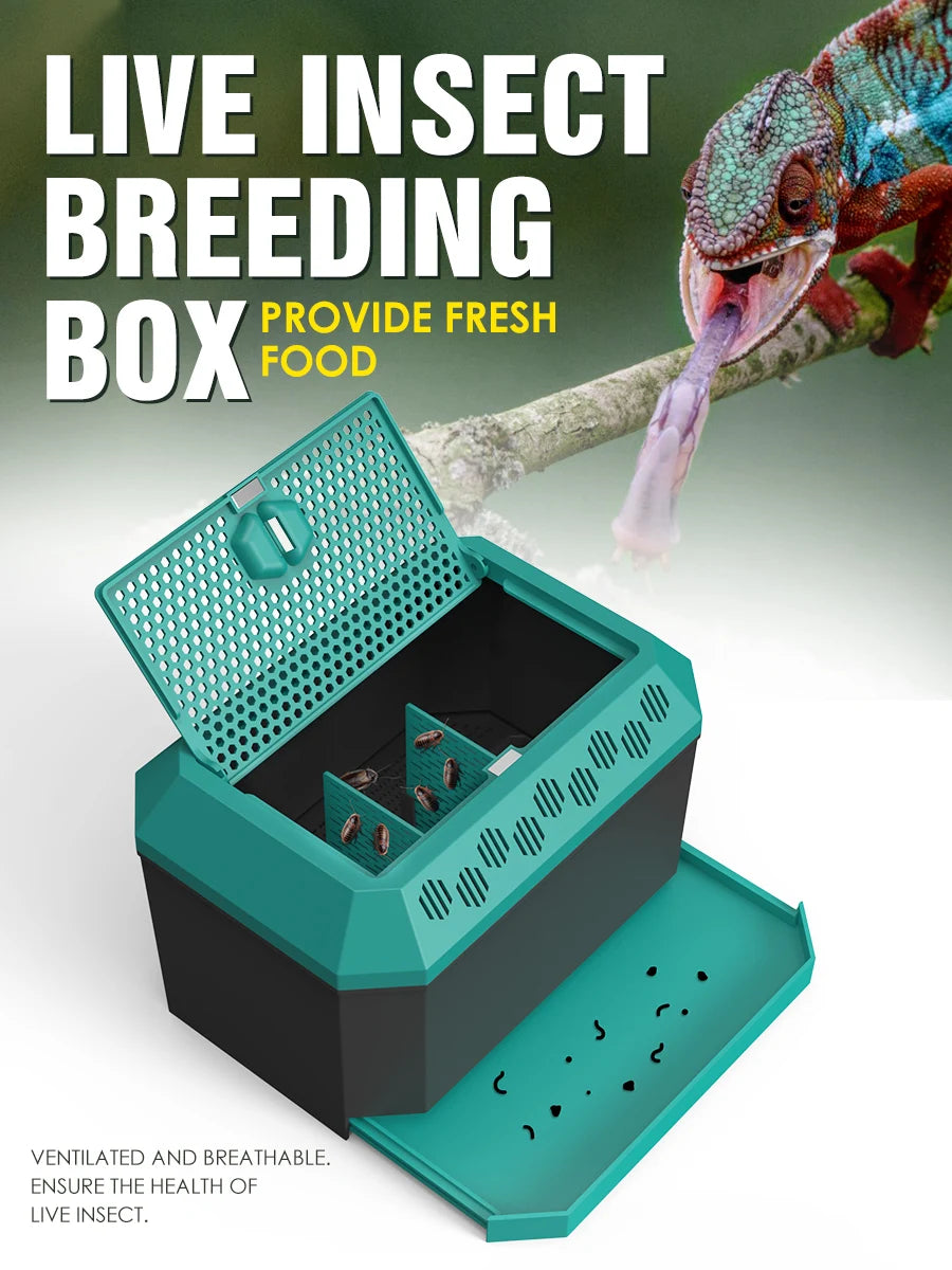 Live food storage box suitable for raising mealworms, crickets, Dubia cockroaches, Morio worms