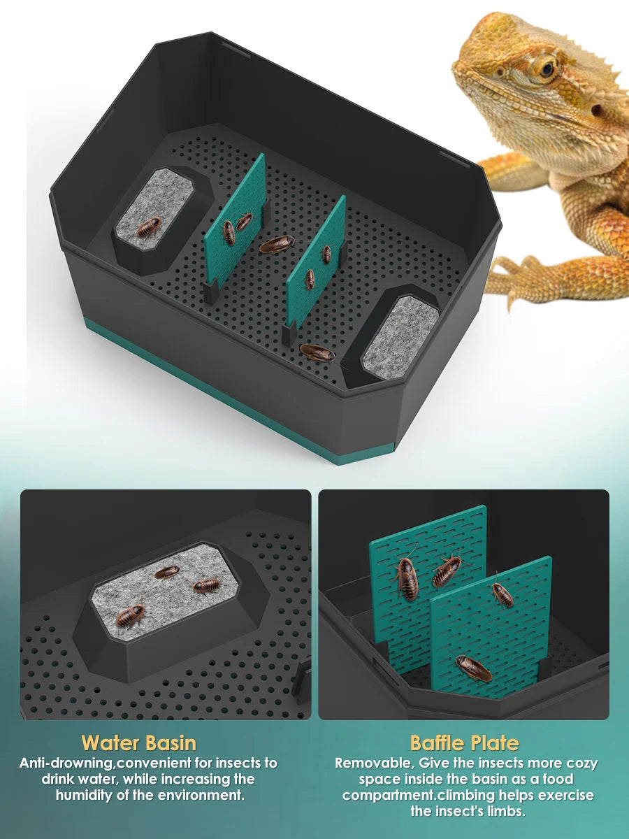 Live food storage box suitable for raising mealworms, crickets, Dubia cockroaches, Morio worms