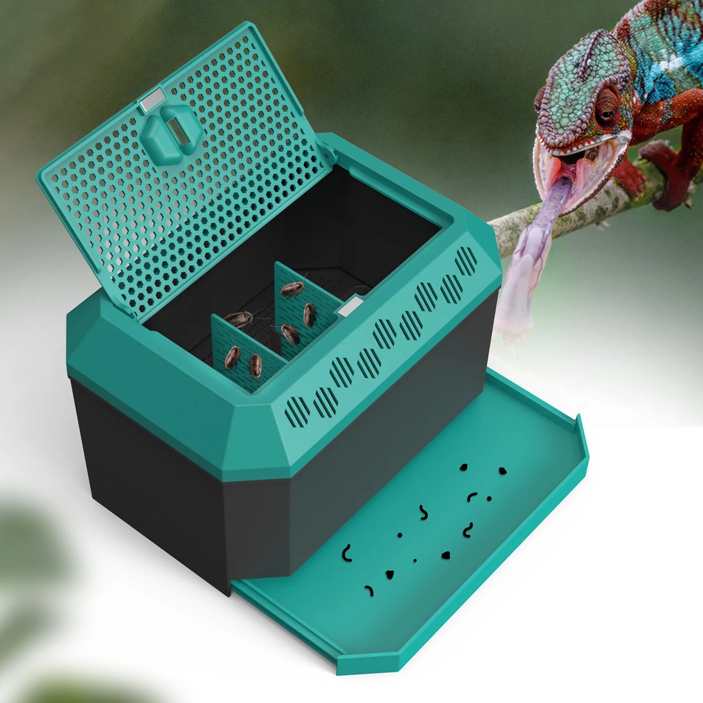 Live food storage box suitable for raising mealworms, crickets, Dubia cockroaches, Morio worms