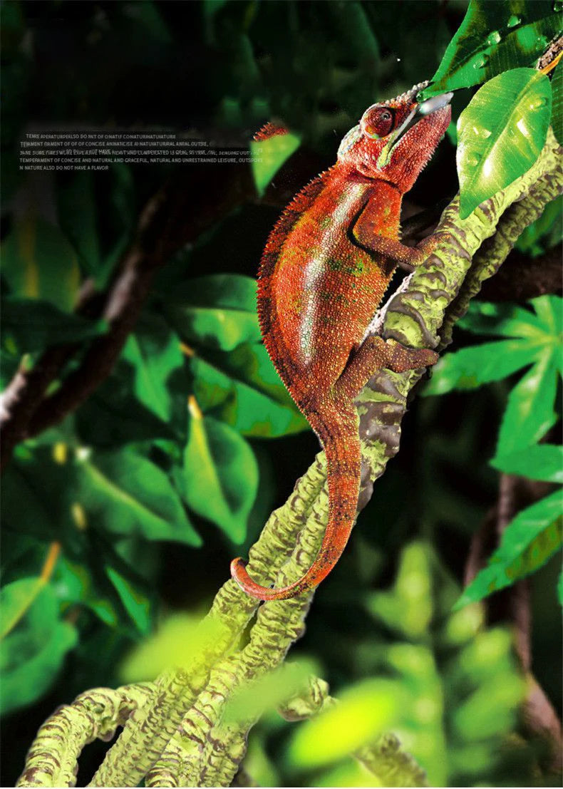 Reptile Landscaping Vine Fake Branches Rainforest