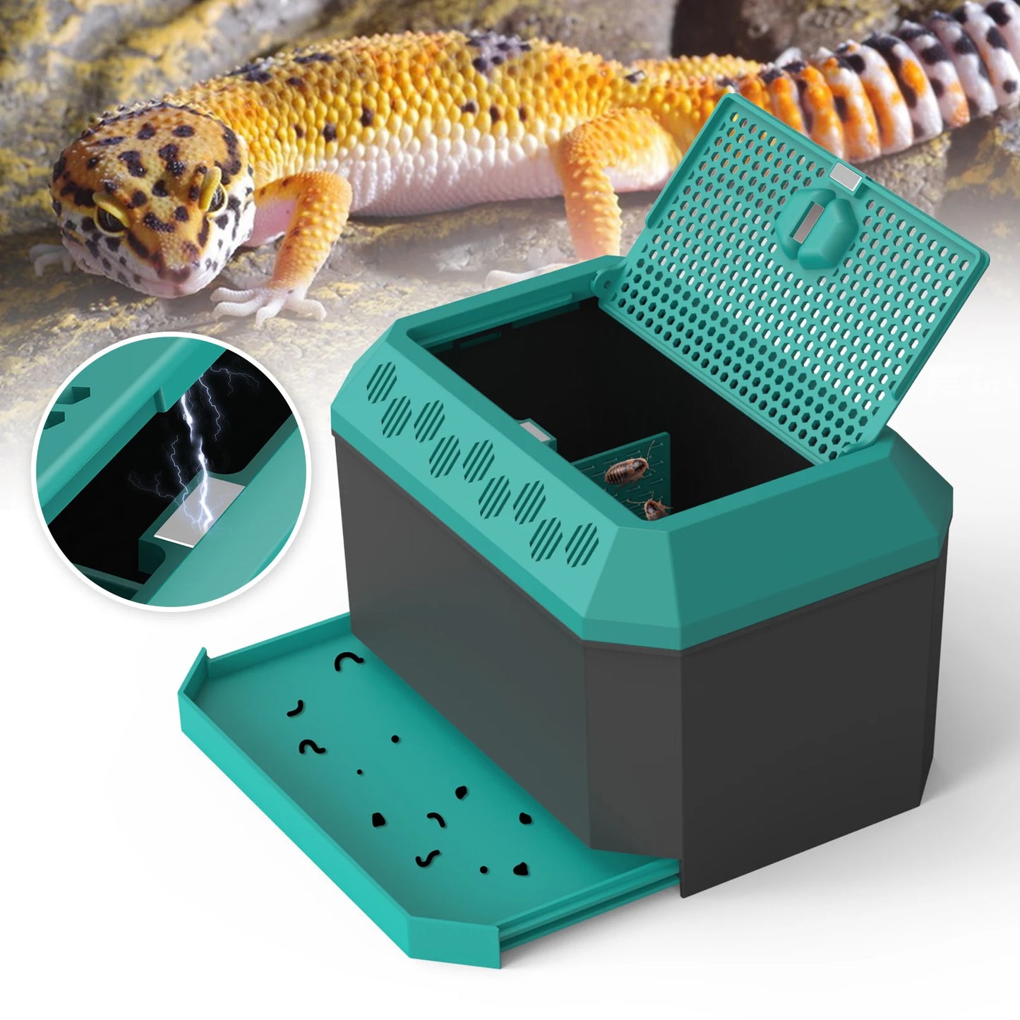 Live food storage box suitable for raising mealworms, crickets, Dubia cockroaches, Morio worms