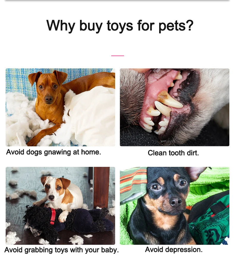 Animals Shape Plush Dog Toy Bite Resistant Squeaky Toys for Small Dogs Interactive Chew Molar Toy Sound Pet Accessories