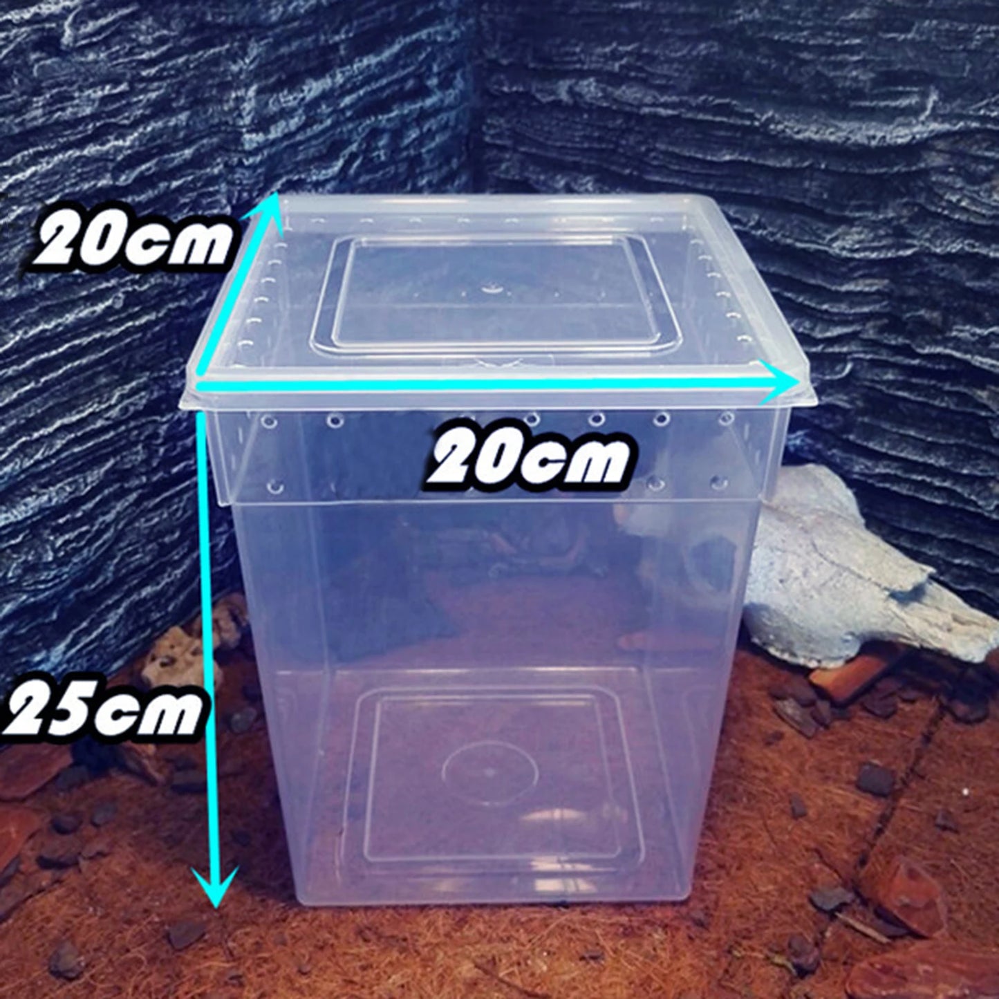 New Reptile Feeding Box /Tarantula Enclosure 25 x 20 x 20cm