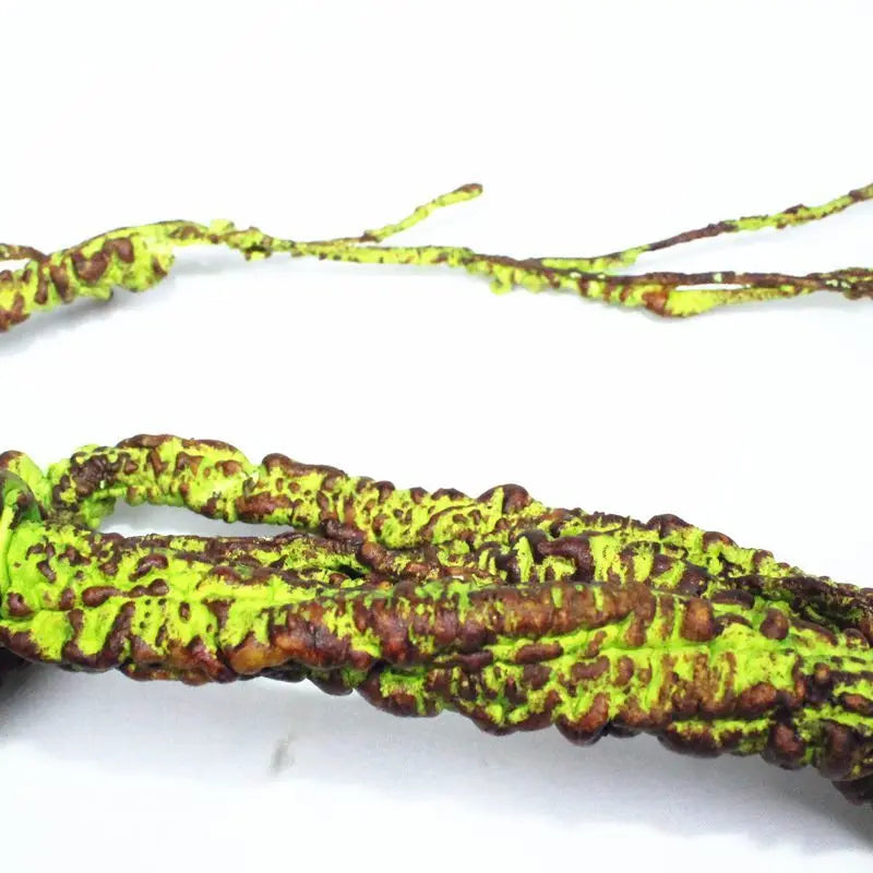 Reptile Landscaping Vine Fake Branches Rainforest