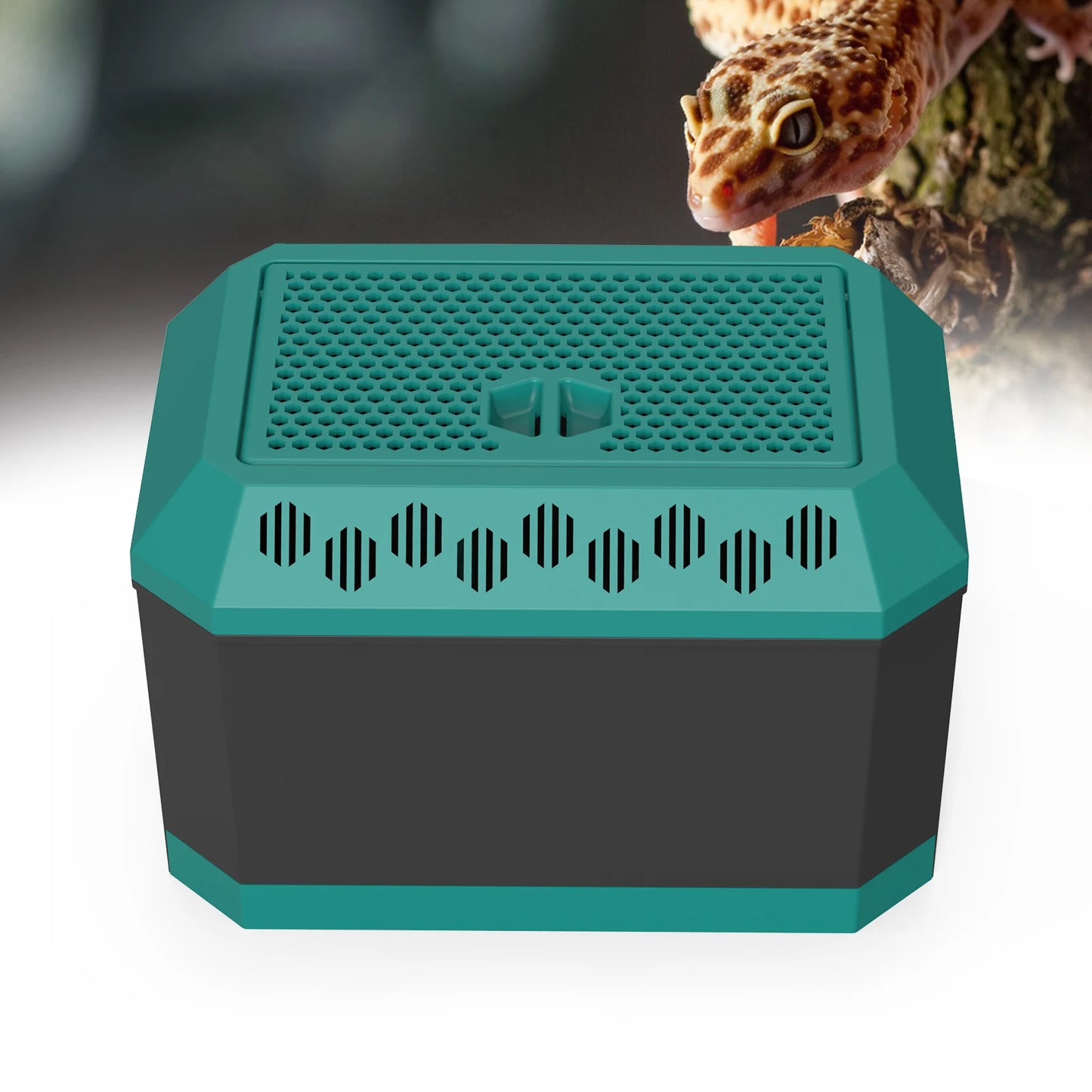 Live food storage box suitable for raising mealworms, crickets, Dubia cockroaches, Morio worms