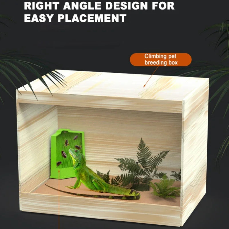 Gecko Food Bowl Reptile Feeding Bowls Reptile Dish Suction Cup Gecko Food Dishs Lizards Reptiles Bowl Breeding Box Supplies