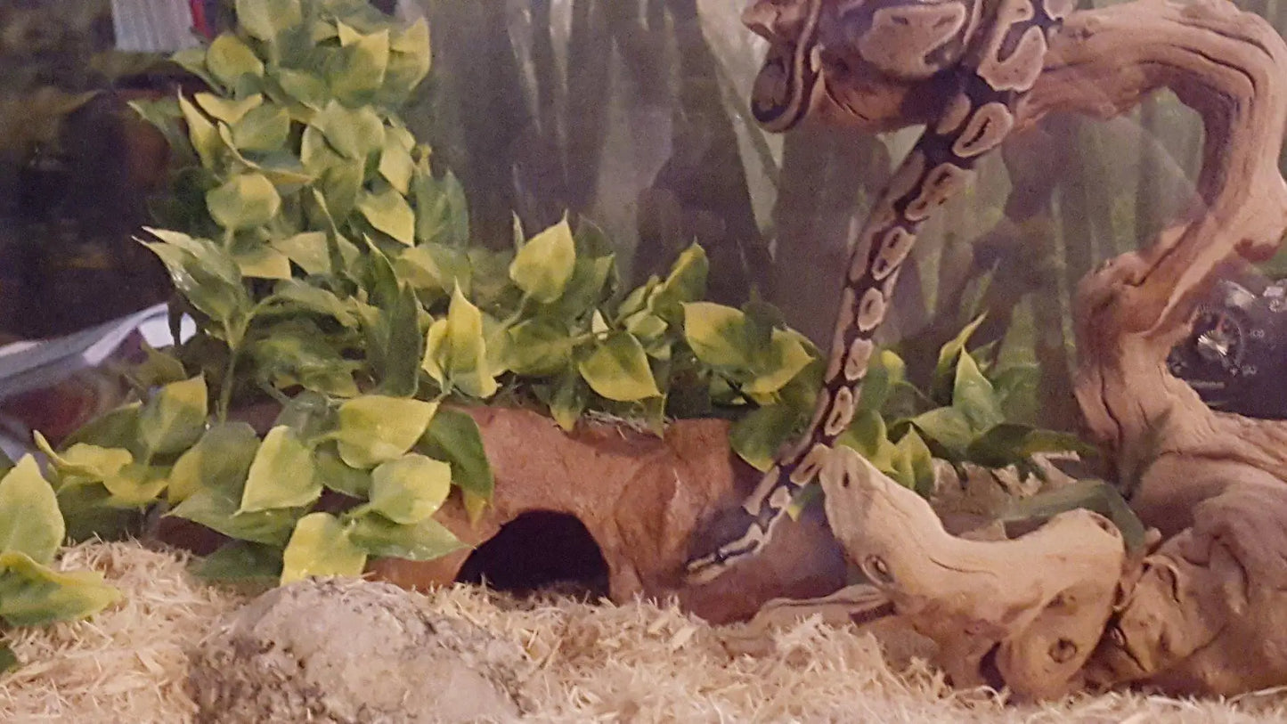 Plant Terrarium Reptile Hide Amphibian Decoration Pet Tank Hanging Leaves