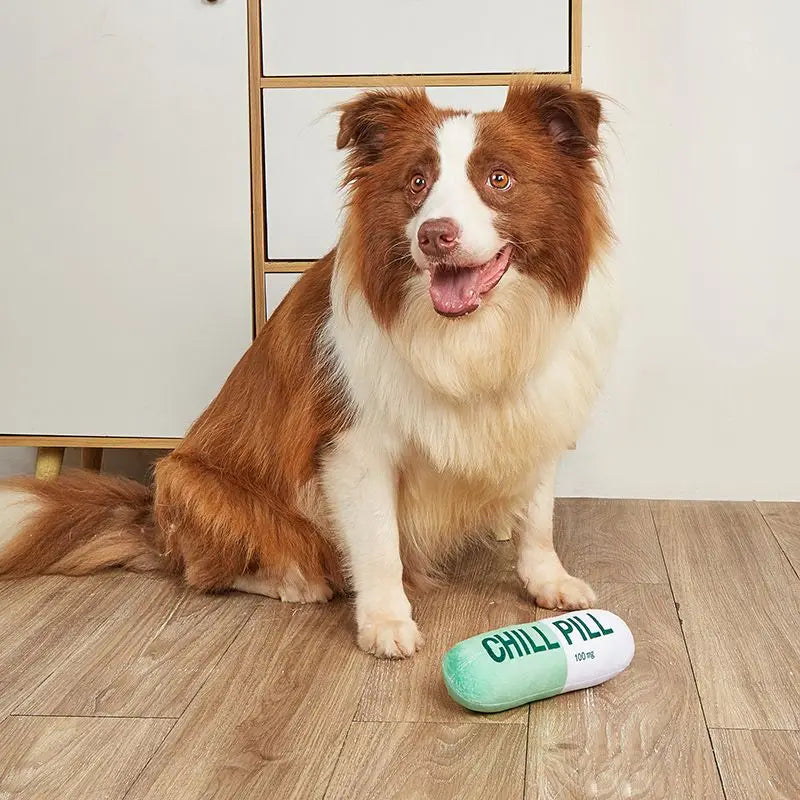Vocal pet plush toy chill pill Capsule shape plush dog toy Vocal fabric bite Resistant