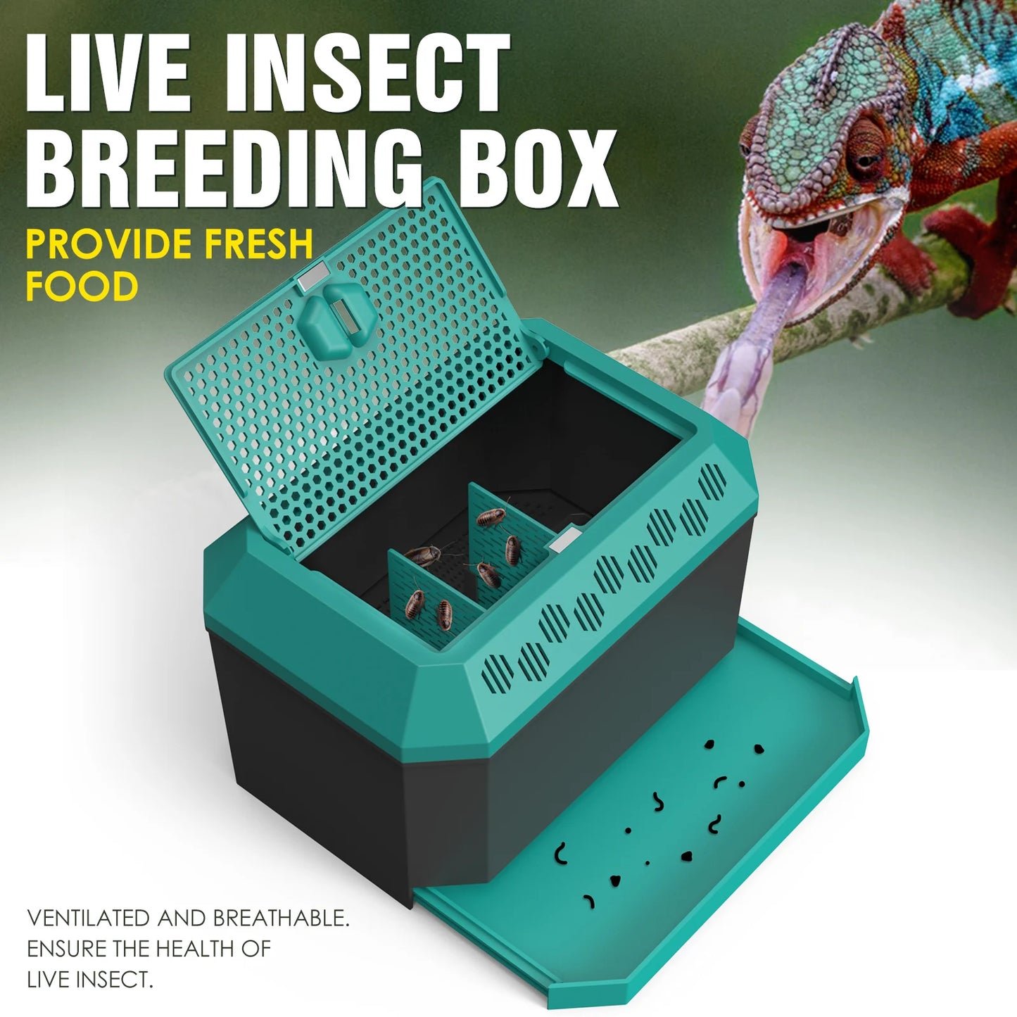 Live food storage box suitable for raising mealworms, crickets, Dubia cockroaches, Morio worms