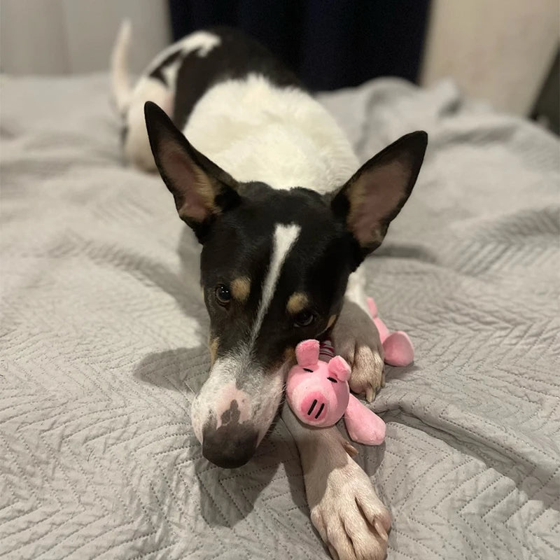 Animals Shape Plush Dog Toy Bite Resistant Squeaky Toys for Small Dogs Interactive Chew Molar Toy Sound Pet Accessories