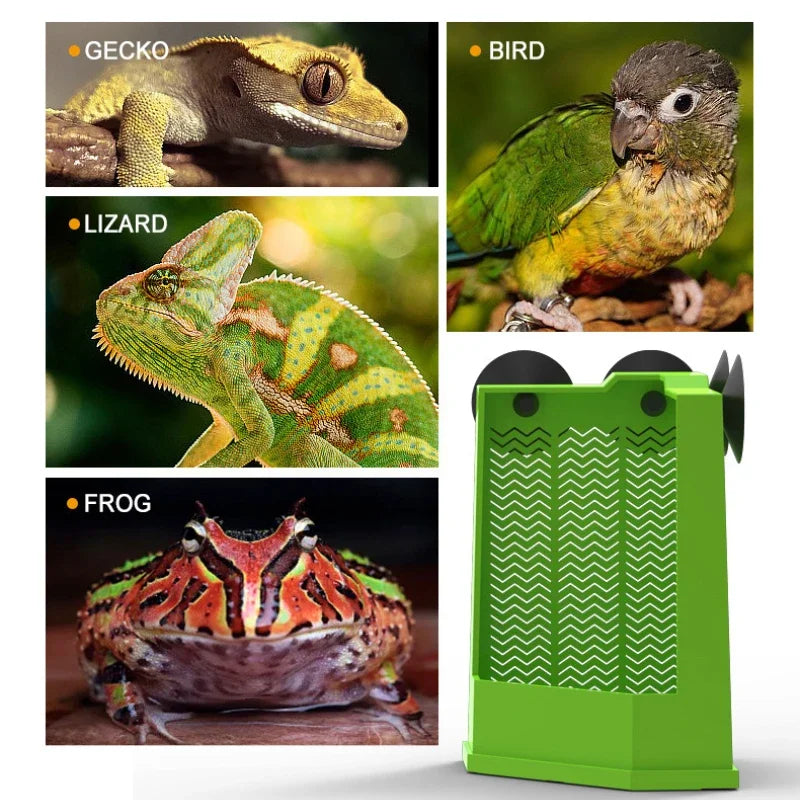 Gecko Food Bowl Reptile Feeding Bowls Reptile Dish Suction Cup Gecko Food Dishs Lizards Reptiles Bowl Breeding Box Supplies