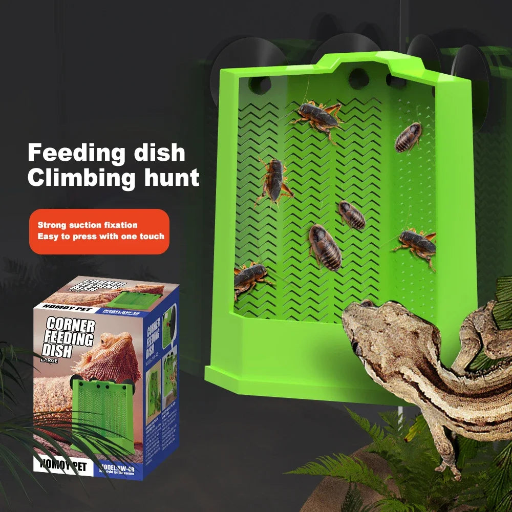 Gecko Food Bowl Reptile Feeding Bowls Reptile Dish Suction Cup Gecko Food Dishs Lizards Reptiles Bowl Breeding Box Supplies