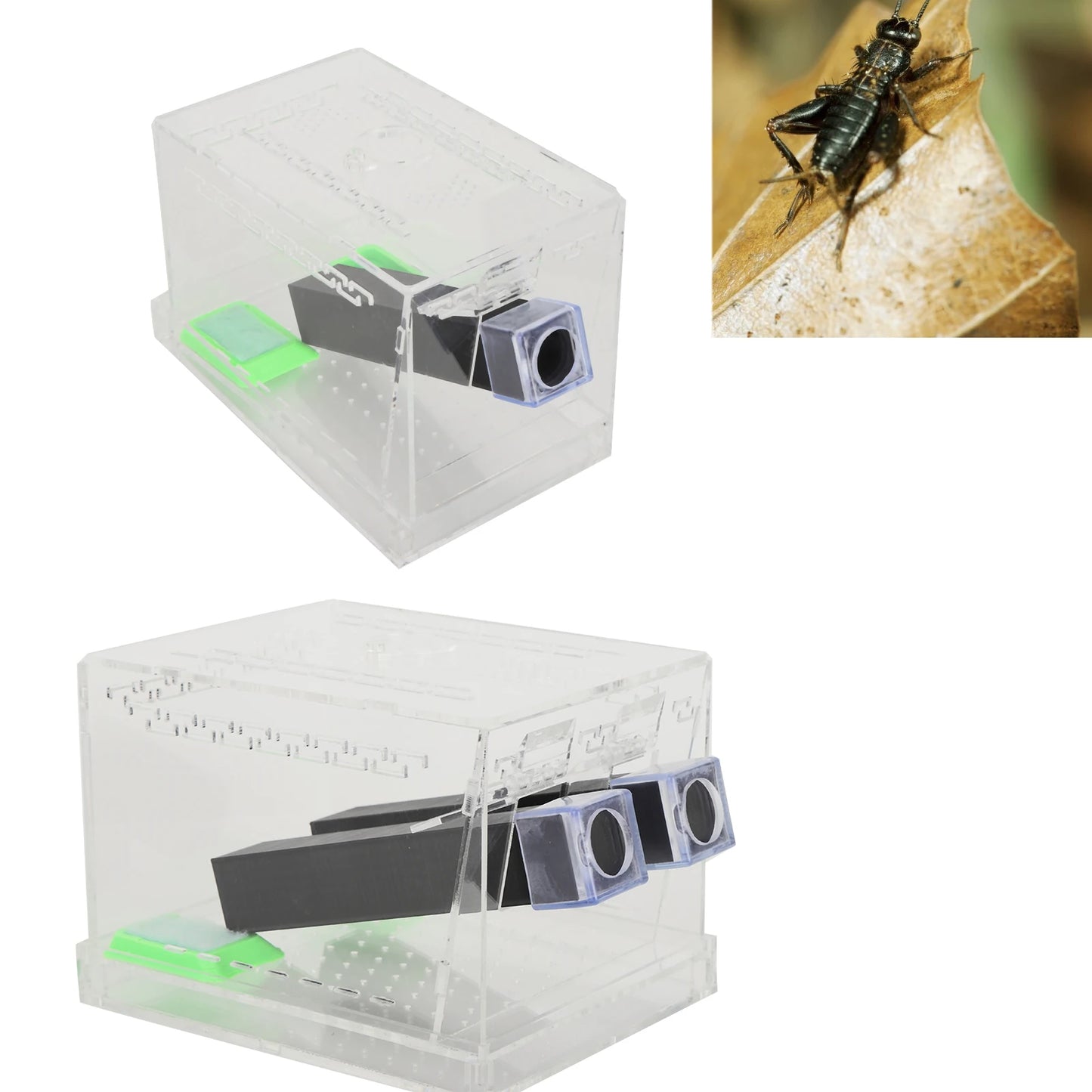 Acrylic Feeding Cricket Keeper Pen with Tubes Insect Cockroach Care Kit