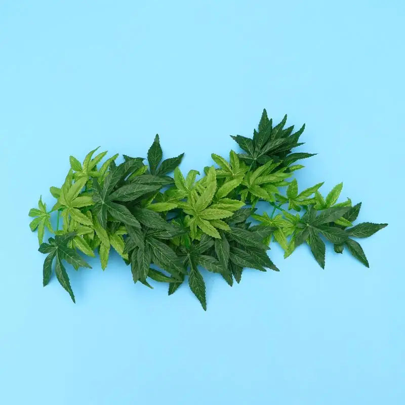 Fake Vines for Reptiles Fake Plants for Reptiles Reptile Plants for Terrarium with Suction Cups Suction Cup Plants for Reptiles