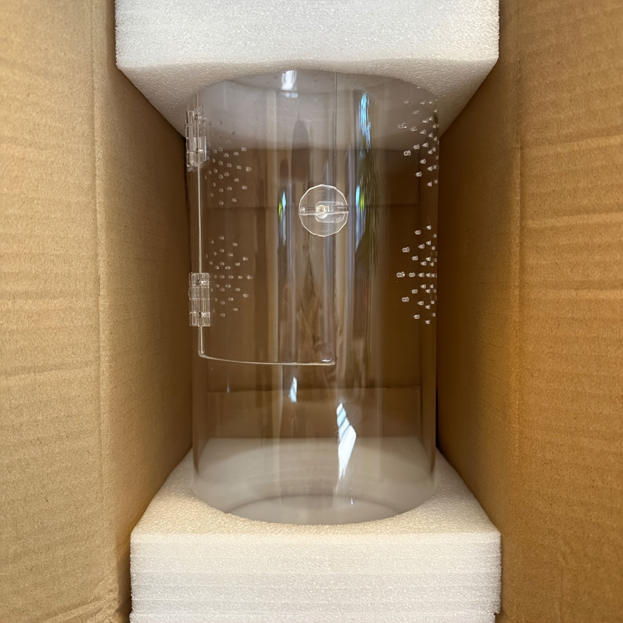 Acrylic Insect Habitat Cage 29.21x15.24x15.24cm - Transparent, Ventilated Terrarium for Spiders, Praying Mantises, Scorpions, Ants & Snails with Escape Door