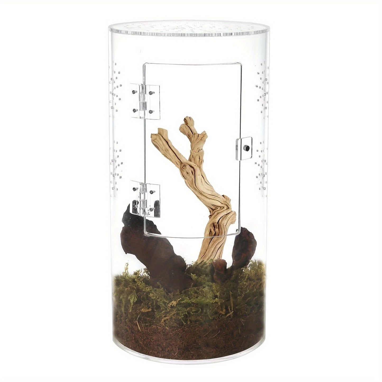 Acrylic Insect Habitat Cage 29.21x15.24x15.24cm - Transparent, Ventilated Terrarium for Spiders, Praying Mantises, Scorpions, Ants & Snails with Escape Door