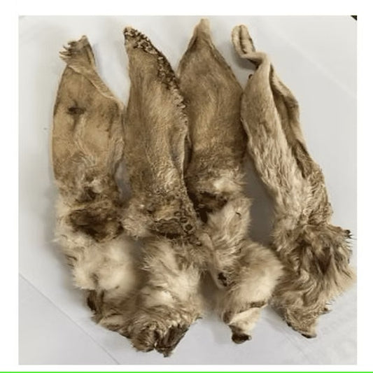 Natural Rabbit Ears - 10