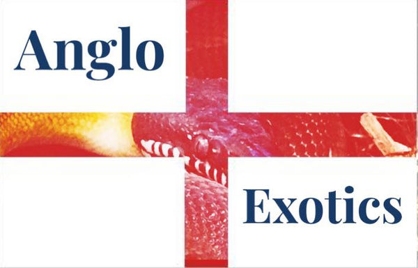 Pawfectly Exotic Pets
