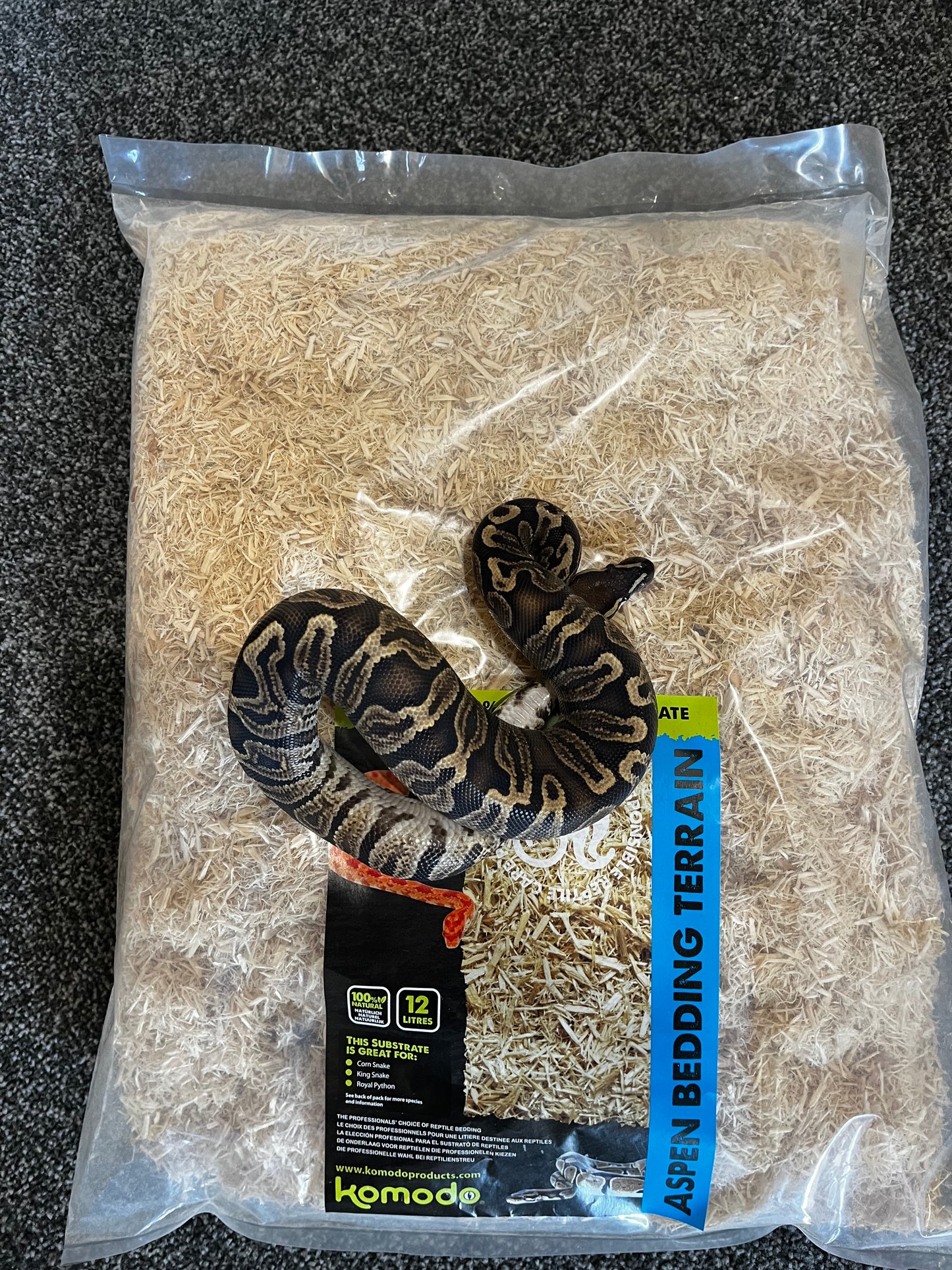 Komodo Aspen Bedding for Snakes - 12L Natural Wood Substrate for Burrowing Reptiles - Eco-Friendly & Biodegradable Free  Shipping