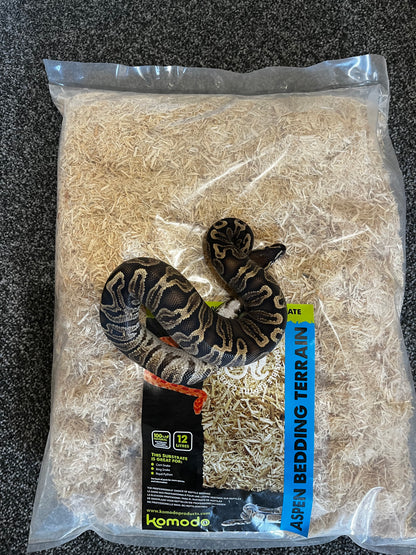 Komodo Aspen Bedding for Snakes - 12L Natural Wood Substrate for Burrowing Reptiles - Eco-Friendly & Biodegradable Free  Shipping