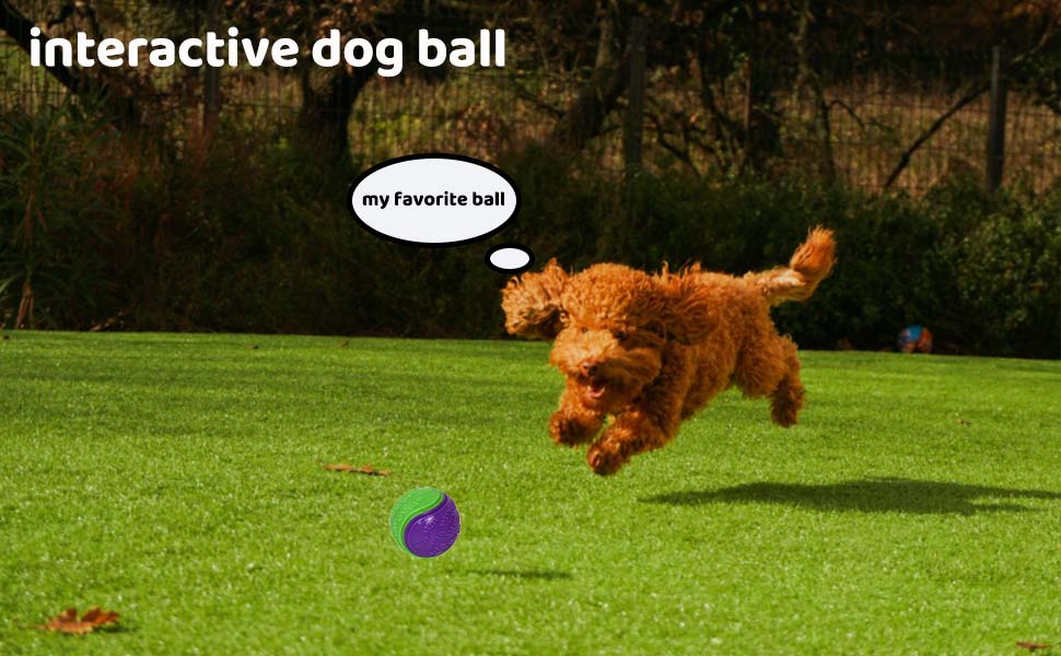6 Sets Scooby-Doo Durable Squeaky Dog Balls Teeth Cleaning Interactive
