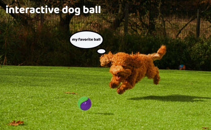 6 Sets Scooby-Doo Durable Squeaky Dog Balls Teeth Cleaning Interactive