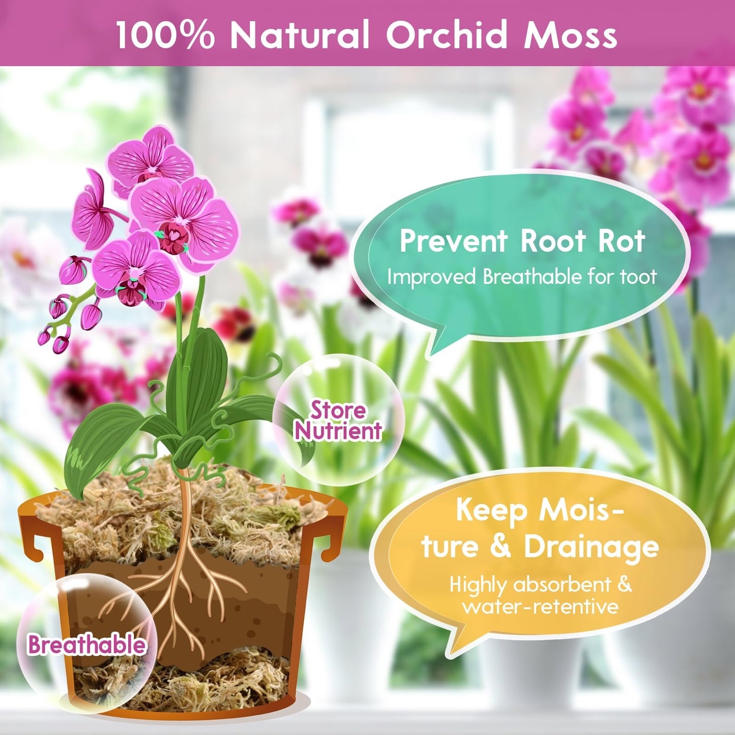 Riare 300g Natural Sphagnum Moss Dried Forest Moss Long Fibered Orchid Moss Potting Mix for Potted Plants Carnivorous Plants Moss Orchid Potting Mix,Reptile Substrate Habitat Decoration (300g)