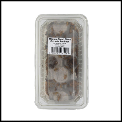 Livefoods4u Medium Small House Brown Crickets Live Food (6-8mm) - Live food Perfect for Reptiles and Lizards - Sustainably bred (Approx 175 Tub) | Livefood