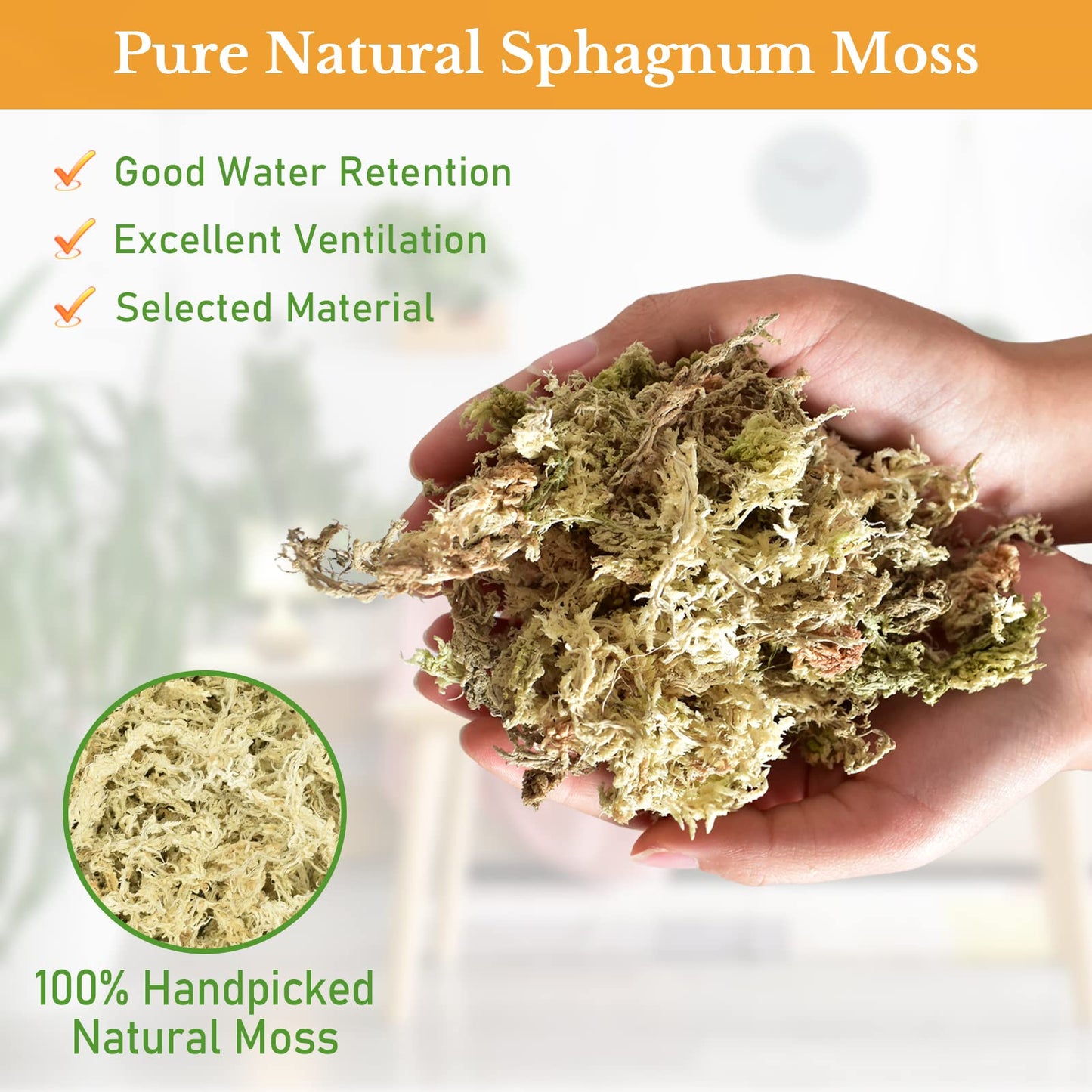 Riare 300g Natural Sphagnum Moss Dried Forest Moss Long Fibered Orchid Moss Potting Mix for Potted Plants Carnivorous Plants Moss Orchid Potting Mix,Reptile Substrate Habitat Decoration (300g)