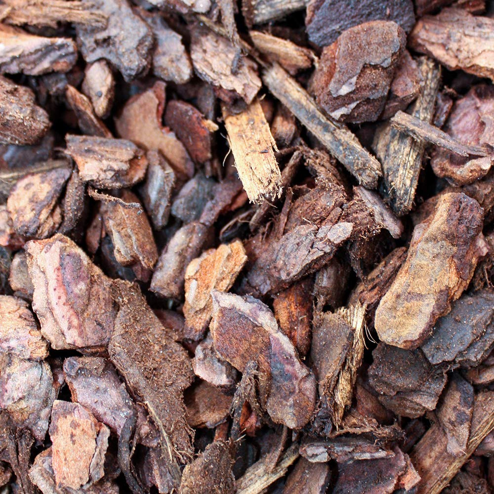 Komodo Forest Terrain Orchid Bark Chips, 12 Litre, Natural Terrain for Reptiles, Orchid Bark Chips, Bark Chips for Reptiles, Reptile Terrain, Reptile Bedding, Large Orchid Bark Chips