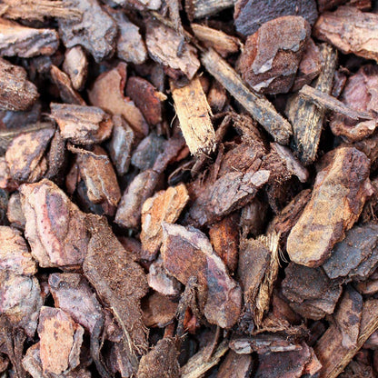 Komodo Forest Terrain Orchid Bark Chips, 12 Litre, Natural Terrain for Reptiles, Orchid Bark Chips, Bark Chips for Reptiles, Reptile Terrain, Reptile Bedding, Large Orchid Bark Chips