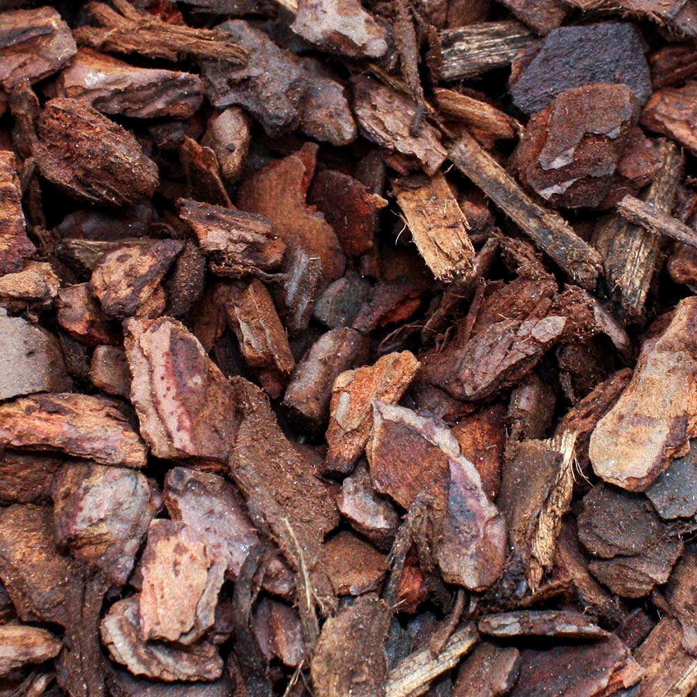 Komodo Forest Terrain Orchid Bark Chips, 12 Litre, Natural Terrain for Reptiles, Orchid Bark Chips, Bark Chips for Reptiles, Reptile Terrain, Reptile Bedding, Large Orchid Bark Chips