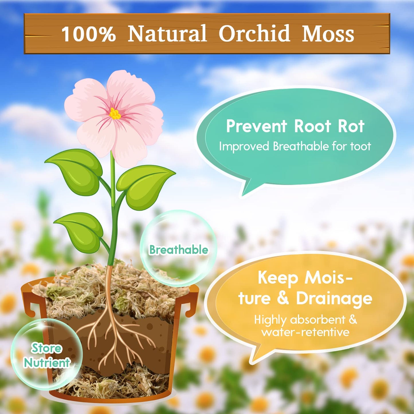 Riare 300g Natural Sphagnum Moss Dried Forest Moss Long Fibered Orchid Moss Potting Mix for Potted Plants Carnivorous Plants Moss Orchid Potting Mix,Reptile Substrate Habitat Decoration (300g)