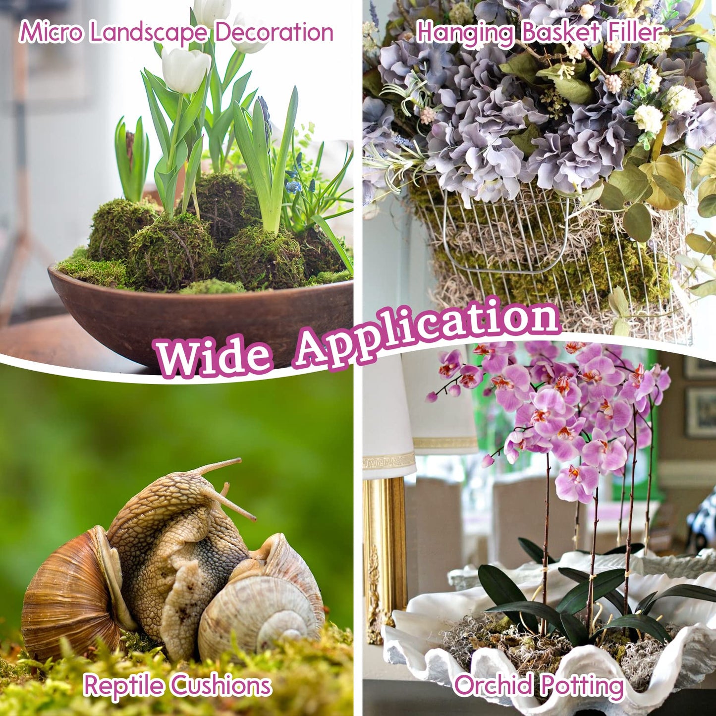 Riare 300g Natural Sphagnum Moss Dried Forest Moss Long Fibered Orchid Moss Potting Mix for Potted Plants Carnivorous Plants Moss Orchid Potting Mix,Reptile Substrate Habitat Decoration (300g)