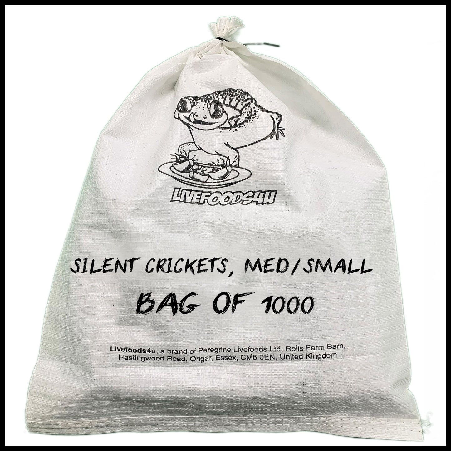 Livefoods4u Medium Small House Brown Crickets Live Food (6-8mm) - Live food Perfect for Reptiles and Lizards - Sustainably bred (Approx 175 Tub) | Livefood