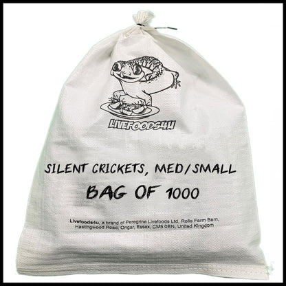 Livefoods4u Medium Small House Brown Crickets Live Food (6-8mm) - Live food Perfect for Reptiles and Lizards - Sustainably bred (Approx 175 Tub) | Livefood